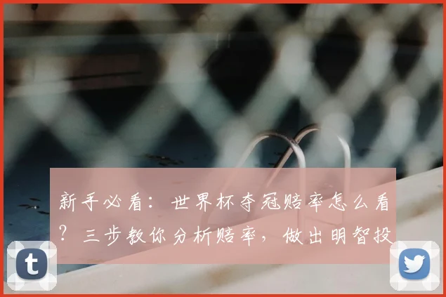 新手必看：世界杯夺冠赔率怎么看？三步教你分析赔率，做出明智投注